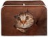 Cute 3D Cat Toaster Covers Bread Maker Oven Cover Small Appliance Protection Covers Kitchen Decoration Dustproof Washable Covers for Most Standard...