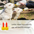 35 PCS Pritchard Nipple for Goats, Small Soft Goat Nipples Silicone Lambs Milk Drink Nipple for Feeding Sheep Goat Lamb Puppy Nursing Farm Supplie...