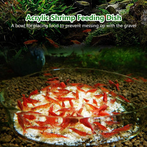 Acrylic Aquarium Shrimp Feeding Dish Bowl Fish Tank Transparent Food Container Feeder Tray Smaller Reptile Worms Pets Feeder Dish...