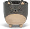 Abbott Collection 27-CRITTER-829-SM Small Cat on Legs Planter, 3" H...
