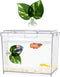 Mini Betta Fish Tank, Small Fish Bowl for Temporary Space, 0.2 Gallon Stackable Cube Tank with Betta Leaf and Gravels for Small Fish, Insect, Shri...