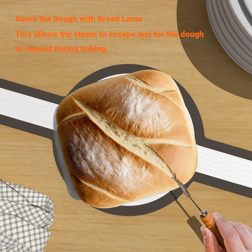 Silicone Bread Sling for Dutch Oven, Oval & Round, Sourdough Bread Baking Supplies, Non Stick, Heat-Resistant 536º F/ 280º C, Gray (Oval + Circle ...