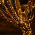 Solar Rope Light Solar Waterproof IP65 39FT 100LEDs Outdoor Rope Light?Patio Garden Solar Outdoor Lighting, Home Wedding Christmas Party Decoratio...