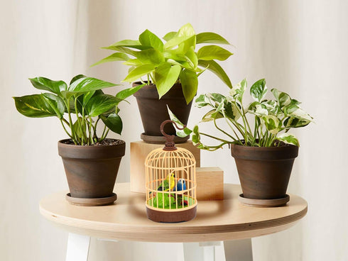 Mini Voice-Activated Birds Birdcage Toys, Chirping & Wings Fluttering Parrot Animals Toy Gifts for Baby Toddler Kids Children (526B)...