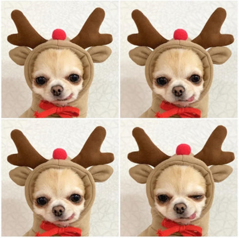 Warm Dog Winter Clothes Cute Fruit Dog Coat Hoodies Fleece Pet Dogs Costume Jacket for French Bulldog Chihuahua Ropa para Perro(Coffee,L)...