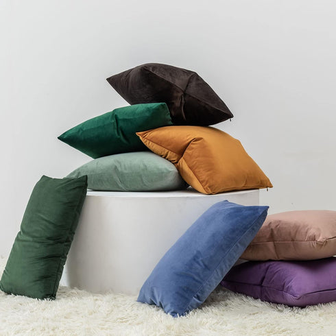 JUSPURBET Decorative Pillow Covers Set of 2 Velvet Throw Pillow Covers for Couch Sofa Bed Soft Cushion Covers Cases with Hidden Zipper for Living ...