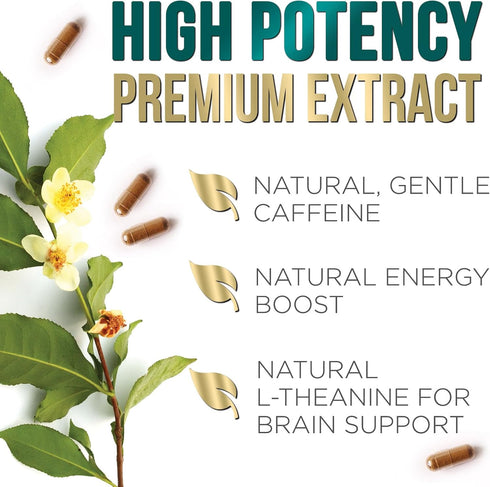 Green Tea Extract Weight Loss Pills 1000mg 98% Standardized EGCG - 3X Strength for Natural Energy - Supports Heart Antioxidant Health with Polyphe...