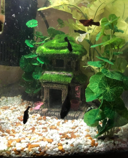 Fish House for Aquarium Aquarium Decorations Fish Hideout Fish Tank House with Lifelike Moss, Come with 2 pcs 4 inch Artificial Aquarium Plants (h...