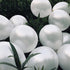 Fayoo White Balloons, 12 Inch White Metallic Balloon Party Decoration for Baby Shower, Christmas Decorations, Birthdays, Bridal Shower, Valentine’...