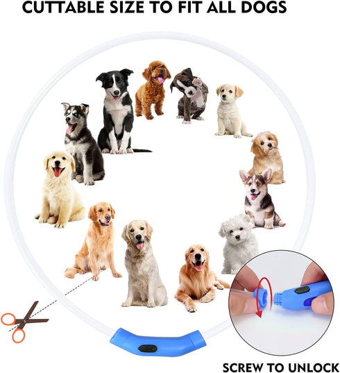 LED Dog Collar, Rechargeable Light Up Dog Collars,IP67 Waterproof Dog Lights for Night Walking?Adjustable, Reusable Safety Necklace for Small Medi...