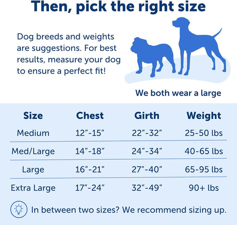 PetSafe Easy Walk No-Pull Dog Harness - The Ultimate Harness to Help Stop Pulling - Take Control & Teach Better Leash Manners - Prevent Pets Pulli...