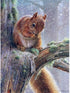 DIY 5d Diamond Painting Kits, Squirrel On The Tree, Forest Animal 12x16in Canvas Full Drill Diamond Art Paint with Diamonds Crystal Cross Stitch...