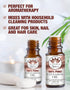 Ethereal Nature 100% Pure Oil, Cinnamon, 1.01 Fluid Ounce...