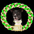 Dog Chain Cuban Collars,Walking Dog Metal Chain Choke Collar with Design Secure Buckle,Pet Cuban Crystal Collar Necklace Accessories for Small Med...