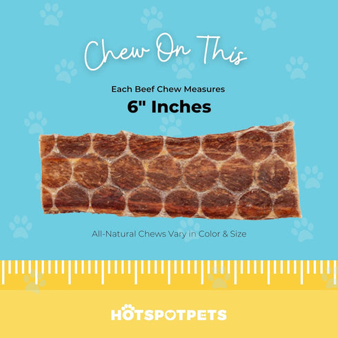 hotspot pets Beef Dog Treats Esophagus (6 Inches) - 100% Natural Healthy Chews for Dogs - Meat Jerky Snack with, All Natural from Grass Fed Cattle...