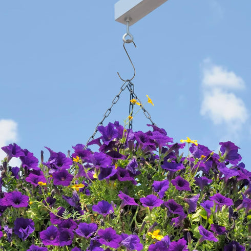 SumDirect Heavy Duty S Hooks - 5 Pack 5.7 Inch Extra Large Meta Stainless Steel S Shaped Hooks for Hanging...