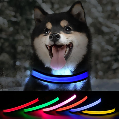 Led Glowing Dog Collars, Lighted Dog Collars for Night, Dog Glow Collar Rechargeable, Light Up Dog Collar for Small Dogs (Blue, Pack of 1, S)...