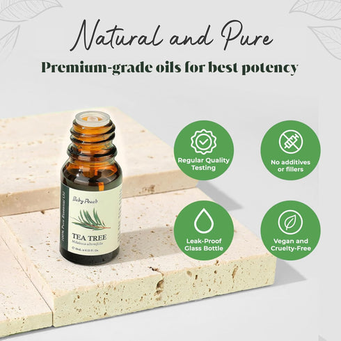 Essential Oils Set - Top 6 Aromatherapy Oils Perfect for Diffuser, Humidifier, Candle Making, Essential Oil Home Gifts Set, Eucalyptus, Lavender, ...