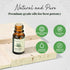 Essential Oils Set - Top 6 Aromatherapy Oils Perfect for Diffuser, Humidifier, Candle Making, Essential Oil Home Gifts Set, Eucalyptus, Lavender, ...