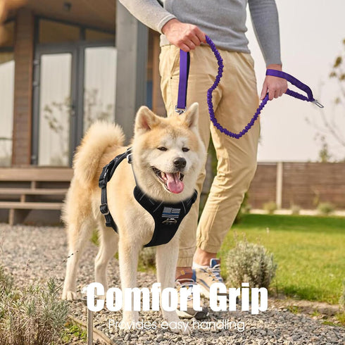 BUMBIN 6Ft Dog Leash Large Dogs, Bungee Dog Leash with 2 Handles, Heavy Duty Dog Leashes for Medium Small Dogs, No Pull Shock Absorbing Dog Leash ...