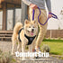 BUMBIN 6Ft Dog Leash Large Dogs, Bungee Dog Leash with 2 Handles, Heavy Duty Dog Leashes for Medium Small Dogs, No Pull Shock Absorbing Dog Leash ...
