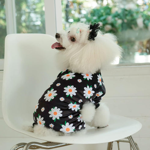 CuteBone Daisy Dog Pajamas Soft Puppy Pjs for Small Dogs P221XS...