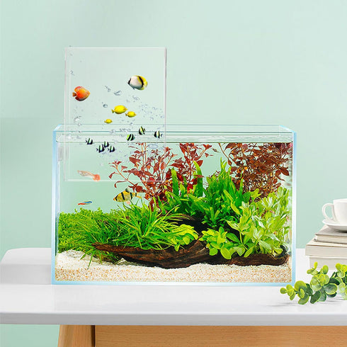 Negative Pressure Fish Tank, Clear Fish Elevator Inverted Aquarium above Water Fish Tank Water Auto-Refill Transparent Vacuum Suspended Fish Tank ...