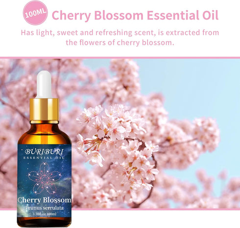 BURIBURI Cherry Blossom Essential Oil for Aromatherapy Diffuser, Skin, 100% Pure Cherry Blossom Oil 100ML for Candle, Soap, Perfume Making Cherry ...