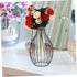 Lantern Vase Decoration Iron Art Plant Containers Plants Tube Vases Wedding Flower Vase Minimalist Flower Bottle Flower Display Holder Centerpiece...
