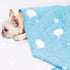 DELIFUR Cat Cooling Blanket - Lightweight Pet Cooling Blanket Bed Cover for Summer Self Cooling Mat for Small Dogs Throw Blanket for Kennel Sofa C...