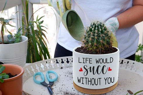 Funny Ceramic Plant Succulent Planter Pot - Life Would SUCC Without You White Mini Cactus Plant Office Garden Decor for Teacher, Coworker, Firends...