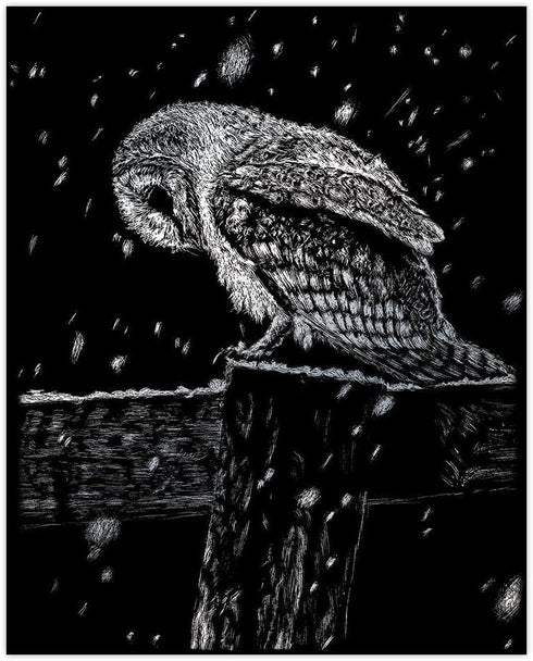 Royal & Langnickel(R) Silver Foil Engraving Art Kit 8"X10"-Snowfall at Night...