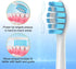 Replacement Toothbrush Heads for Philips Sonicare - Medium Soft, 8 Pack...