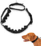 PetSafe Soft Point Training Collar - Helps Stop Pulling - Safer Than Prong or Choke Collars - Teaches Better Leash Manners - No Pull Training Coll...