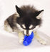 Dog Treat Toy Ball, Treat Dispensing dog toys, Slow Feeder Puzzle, and Dog Toys to Keep Them Busy with This Blue 3-in-1 Interactive Dog Ball for S...