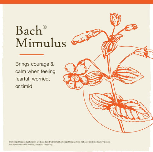 Bach Original Flower Remedies, Mimulus for Facing Fears (Non-Alcohol Formula), Natural Homeopathic Flower Essence, Holistic Wellness and Stress Re...