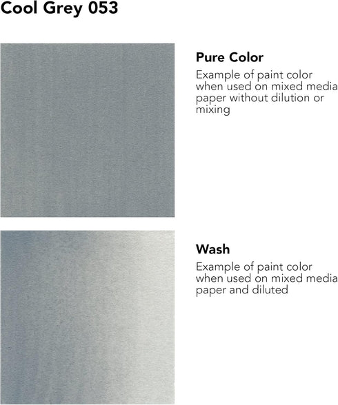 Daler-Rowney FW Acrylic Ink Bottle Cool Grey - Versatile Acrylic Drawing Ink for Artists and Students - Permanent Calligraphy Ink - Archival Ink f...