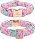 Lionheart Glory Dog Collar, Pink Dog Collar with Flower, Cute Floral Pattern Pet Collar Adjustable Dog Collar for X-Large Dogs...