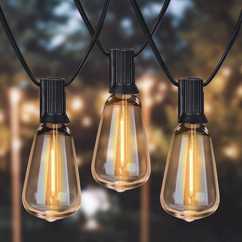 25 Packs ST38 LED Edison Bulbs,0.6Watt E12 Base Small Vintage Light Bulbs Equivalent to 7W Incandescant, 2700K Warm White Bulbs for ST38 String Li...
