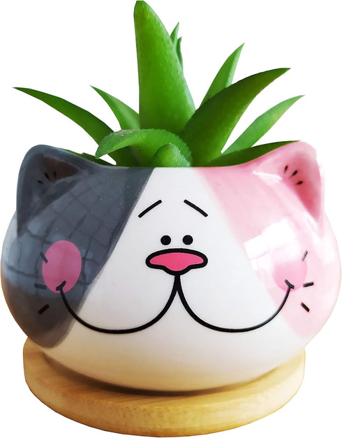 Cute 3.5 Inches Indoor Cartoon Animal Cat Shaped Ceramic Succulent Cactus Flower Plant Pots with Bamboo Tray (Plant Not Included) (Grey)...