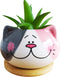 Cute 3.5 Inches Indoor Cartoon Animal Cat Shaped Ceramic Succulent Cactus Flower Plant Pots with Bamboo Tray (Plant Not Included) (Grey)...