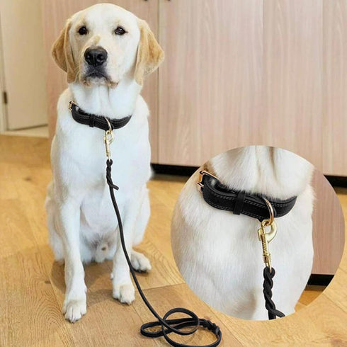 Leather Dog Leash 6ft*5/8"- Braided Dog Leash for Dogs, Heavy Duty Dog Leashes with Rotating Clasp, Soft Leather Dog Training Leash for Large, Med...
