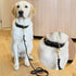 Leather Dog Leash 6ft*5/8"- Braided Dog Leash for Dogs, Heavy Duty Dog Leashes with Rotating Clasp, Soft Leather Dog Training Leash for Large, Med...