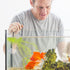 Mipcase 4Pcs Red Worm Feeder Shrimp Feeding Dish with Suction Cup Aquarium Glass Cone Feeder Cup Floating Fish Tank Feeding Food Bowl Plant Holder...