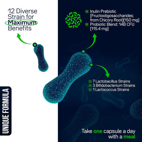 Fresh Flora - Probiotics & Prebiotics For Women and Men, Lactobacillus Lactospore, Howaru, 12 Registered Strain, Strengthens Immunity, Digestive &...