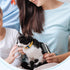 2 Pcs Dog Metal Combs Cat Wooden Handle Grooming Comb Stainless Steel Cat Comb Double Side Metal Comb for Dogs Pet Dog Grooming Brush Pet Hair Bru...