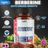 Berberine Supplement with Ceylon, Milk Thistle, Turmeric, Elderberry & More - Support Immune, Cardiovascular & Gastrointestinal - 60 Counts for 2 ...
