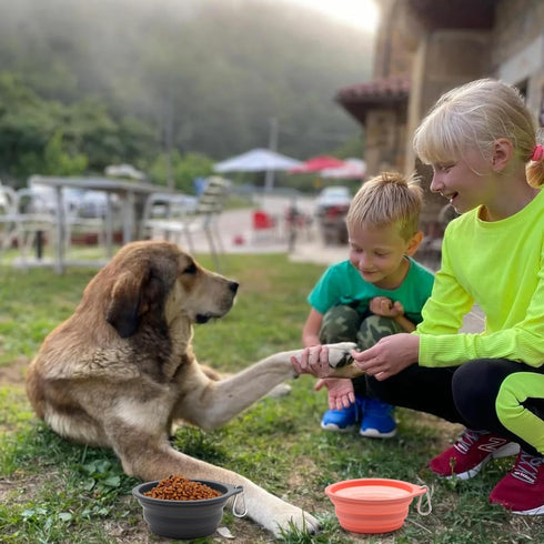 SLSON Collapsible Dog Bowl Foldable Dog Travel Water Bowls Integrated Molding No Plastic Rim Portable Pet Feeding Bowl for Walking Hiking Outdoors...