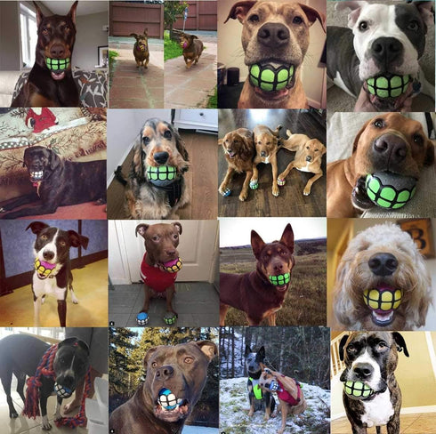 Dog Balls Toys Squeaky Fetch - Rubber Funny Ball Gifts for Large Medium Dogs (Variety Pack)...