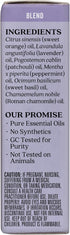 Aura Cacia Aura Cacia Chill Pill Essential Oil, 0.5 Ounce, Lavender, Peppermint, Sweet Orange, Basil, Chamomile and Patchouli...